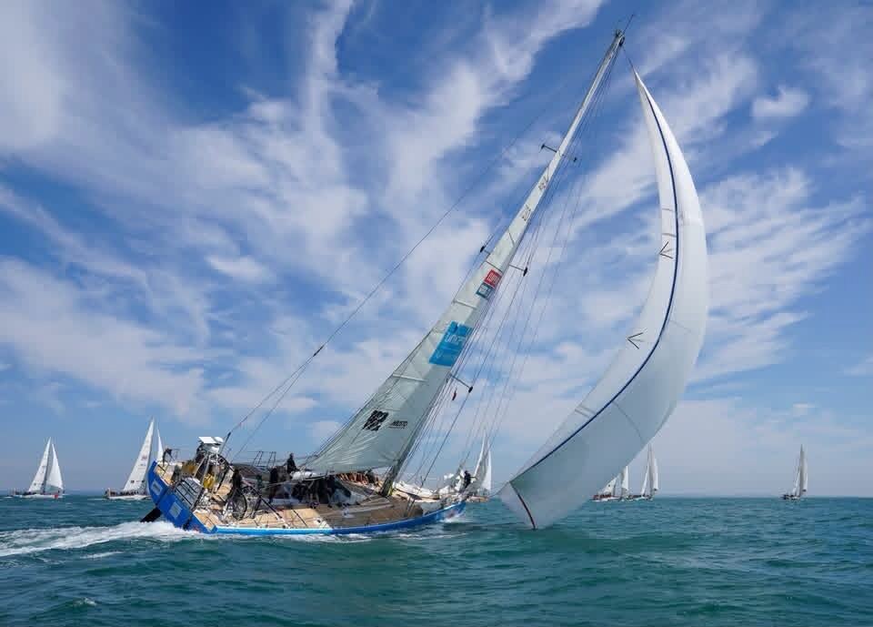 The fleet under spinnaker